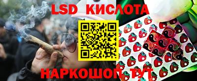 мяу мяу мука Бугуруслан
