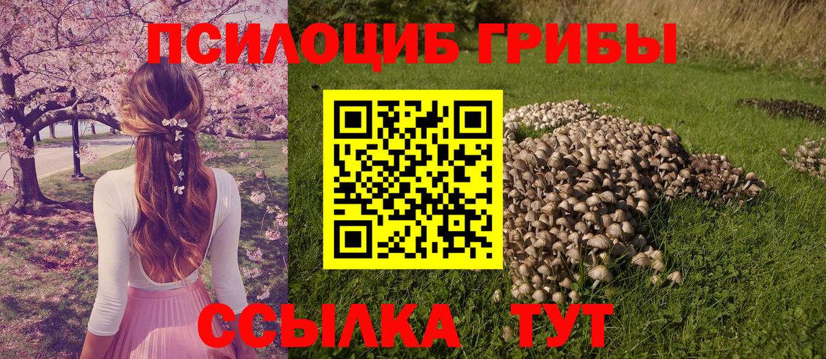 Галлюциногенные грибы мухоморы Малоярославец