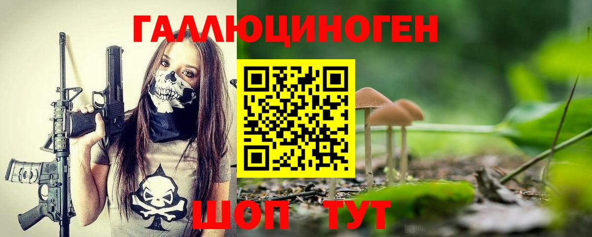 Малоярославец  Галлюциногенные грибы Cubensis  Вход с VPN 
